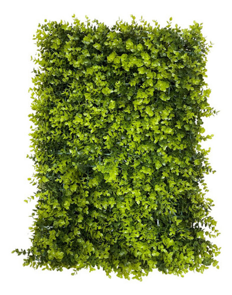 Placa De Grama De Eucalipto 40x60 Jardim Vertical Artificial 0
