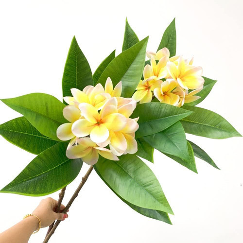 Xiyuan Flores Artificiales 35.5 Pulgadas, Flor Frangipani 2 0