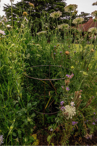 Tutor Cono Mediano Sin Pintar 1