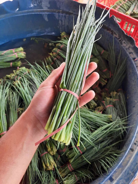 Sementes De Cebolinha Natsuyo 100g Topseed Premium 1