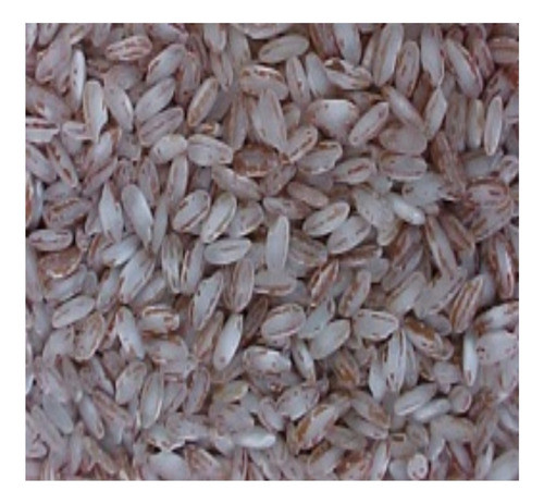 Arroz Da Terra Produto Do Nordeste 1.kg - Pacote 0
