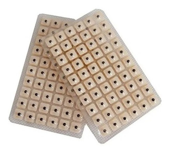 Semillas De Vaccaria X 120 Auriculoterapia !! 0 Semillas De Vaccaria X 120 Auriculoterapia !! 0