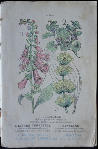 El Médico De Los Pobres. Doctor Beauvillard. 49n 437 1