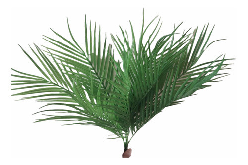Varilla Hojas De Palmera Areca Artificial Aspecto Natural 0