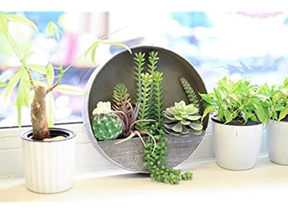 Plantas Suculentas Colgante De Pared Artificial, Plantas Art 1