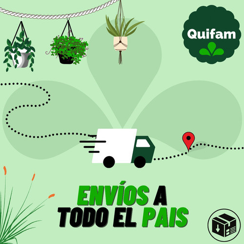 Blanqueador Ropa Blanca 5 L 1