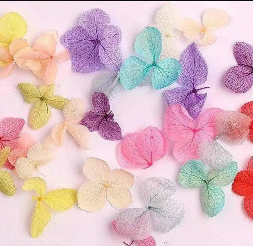 Flor Seca Decoracion De Unas Esculpidas Nail Art 0