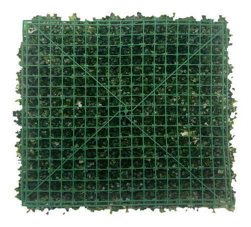 Ligustrina Artificial  Compacta 50x50 Annette Haussman 1