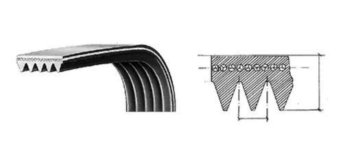 Correa Para Secarropa 8ph 1258 1