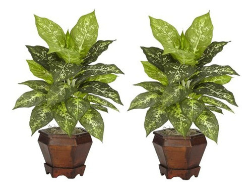 Dieffenbachia Casi Natural 6712-vr-s2 Con Jarrón De Madera P 0