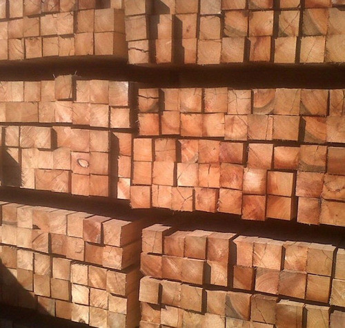 Encofrado Saligna,puntales,machimbre,deck Todo Para Su Techo 1