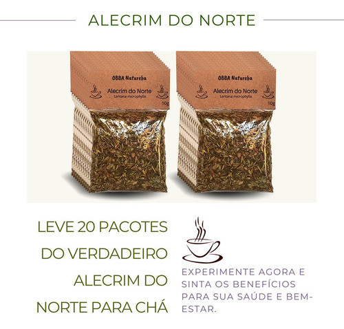 Alecrim Do Norte Erva Para Chá | 100% Puro Natural 20pacotes 1
