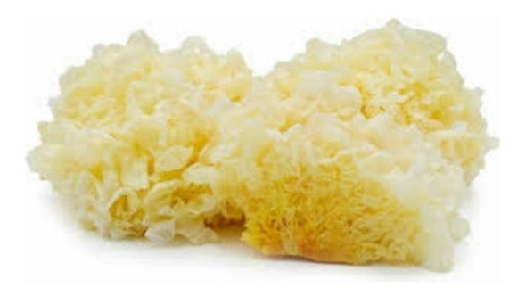Hongos Secos Tremella X 1 Kg 0 Hongos Secos Tremella X 1 Kg 0