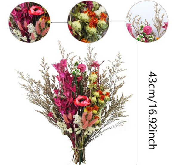 Cisdueo Ramo Flores Secas Naturales, Colas Conejo Secas, Me 1