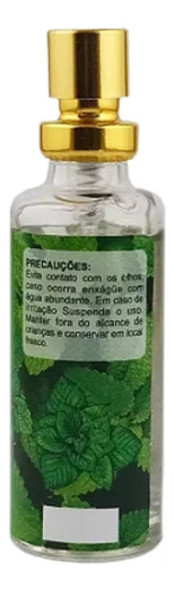 Aromatizante E Antisséptico Bucal Menta Bom Na Boca 10ml 1