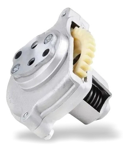 Bomba De Aceite Para Cg 125 Z 39. Vini 0