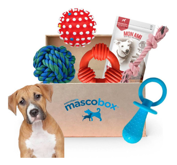 Mascobox Pelota Dental Full Juguetes Varios Accesorios Perro 0 Mascobox Pelota Dental Full Juguetes Varios Accesorios Perro 0