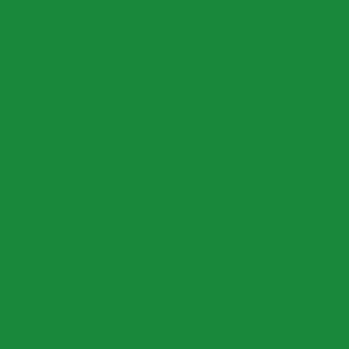 Bolígrafo Pentel Sign Pen, Tinta Verde, Caja De 12 (s520-d) 1
