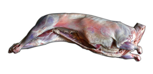 Cordero Fresco O Congelado Stock Permanente 0