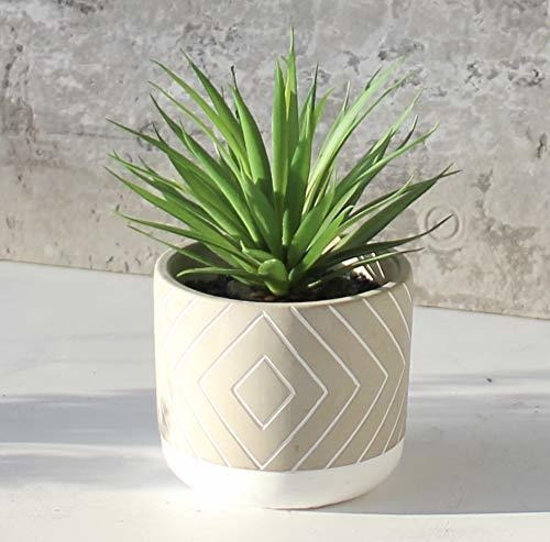 Kurrajong Farmhouse Planta Verde Artificial De 8  X 4.5  En 1