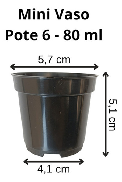 75 Vasos Pote 6 E 5 Bandeja Transparente Suculentas Cactos 1 75 Vasos Pote 6 E 5 Bandeja Transparente Suculentas Cactos 1