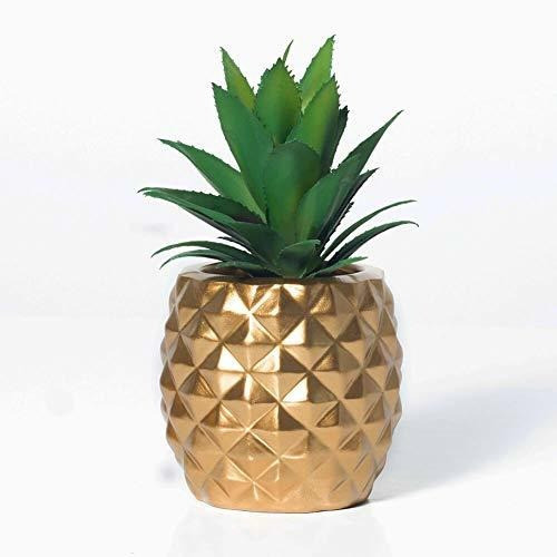 Conjunto De Plantas Suculentas En Macetas Artificiales Bigv, 0