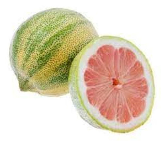 Limonero Variegado Blanco Pink - Inj - E.gratis Caba Y Gba 0