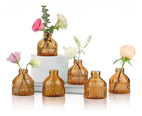 Comsaf Glass Bud Vases Set De 6, Pequeña Botella De Flores V 0