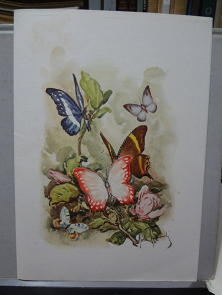 Cardapio Mn. Giulio Cesare Italian Line 24 09 72 0