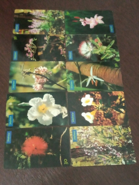 Cartoes Telefonicos Série Flores Do Cerrado 0