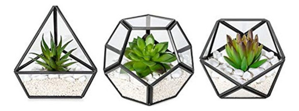 Suculenta Artificial Mkono En Paquete De 3 Mini Terrario Geo 0