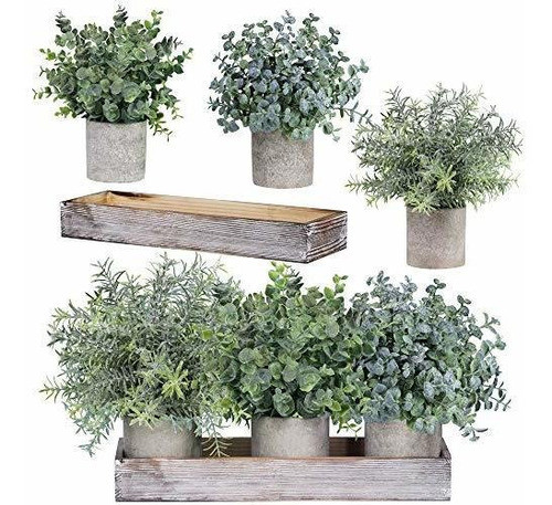 Conjunto De 3 Mini Plantas De Eucalipto Artificiales En Mace 0