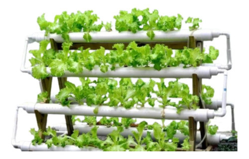 Projeto Horta Hidroponia Orgânica Ecológico Sustentável  Diy 1