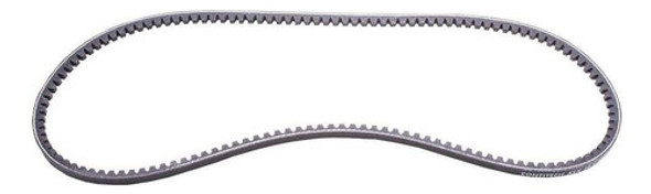 Correia V 727083 Daily 2008 2009 2010 Contitech 0