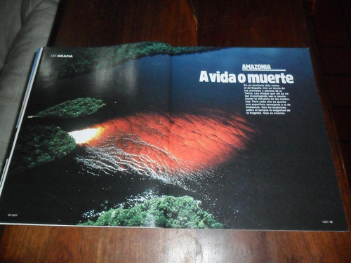 Amazonia 1989 Amazonas A Vida O Muerte Plano Mapa Paisaje 0