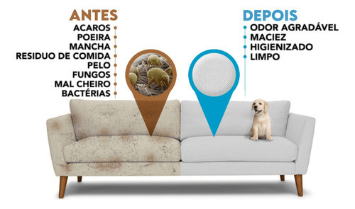 Kit 3 Limpa Estofado  My Place Zip Clean 300ml 1