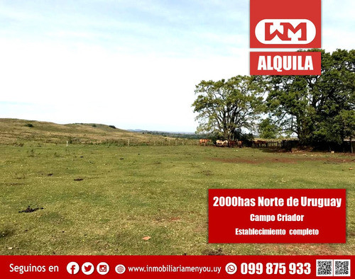 Alquiler Campo 3000 Hectáreas Uruguay Norte 0