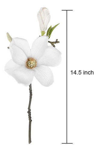 Emivery Paquete 5 Flores Magnolia Artificiales Magnolia Seda 1
