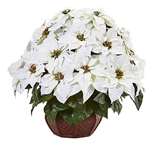 Hogar Y Cocinaproductos De Decoración Del Hogarplantas Y F 0