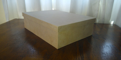 Caja Fibrofacil 35x20x10 Con Tapa Tipo Zapato X 10un. 1