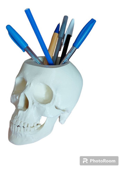 Craneo Anatomico 3d Portalapices  Calidad Superior Obsequio 0