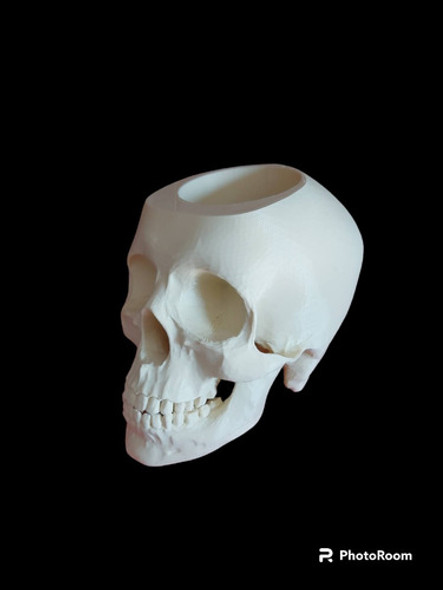 Craneo Anatomico 3d Portalapices  Calidad Superior Obsequio 1