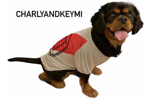 Camisetas De River Para Perros Y Gatos 1