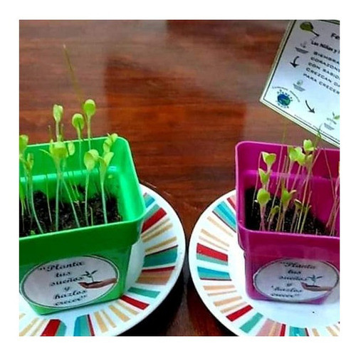 Souvenir Educativo Kit Siembra , Oferta! X 25 Unidades 1