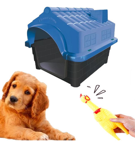 Brinquedo Galinha Plastico Cães + Casinha Pet Grande N4 Azul 0