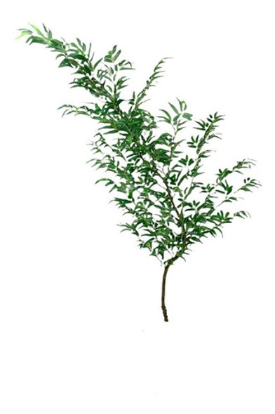 Árvore Bambu Mossô Artificial Tronco Natural 1,60 Mts Planta 0