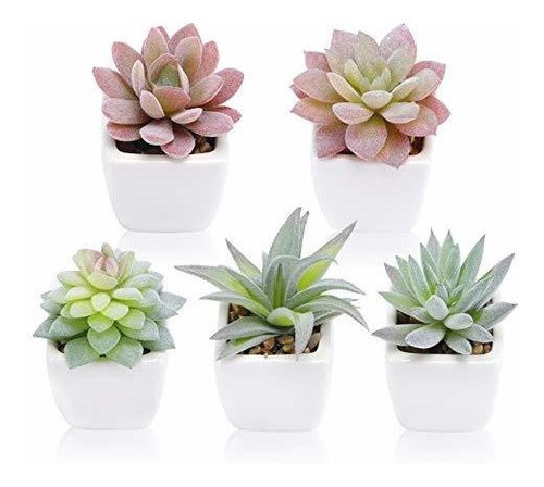 Funarty Plantas Suculentas Artificiales En Maceta Pequeñas P 0
