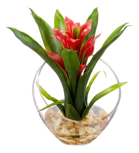 Bromelia Tropical Casi Natural De 1535-rd En Jarrón En Ángul 0