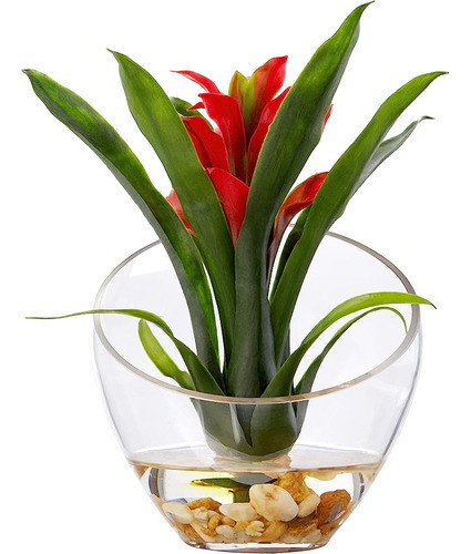 Bromelia Tropical Casi Natural De 1535-rd En Jarrón En Ángul 1