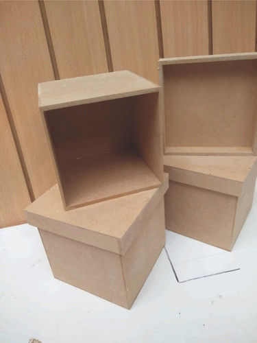 10 Cajas 14x14x14 Tapa Zapato 0